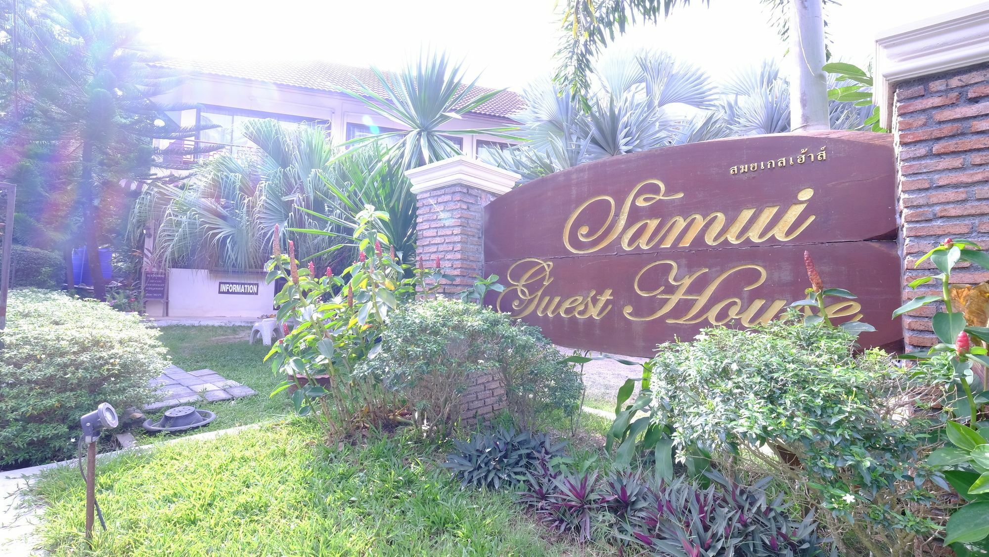 Samui Guest House Lamaj-part Kültér fotó