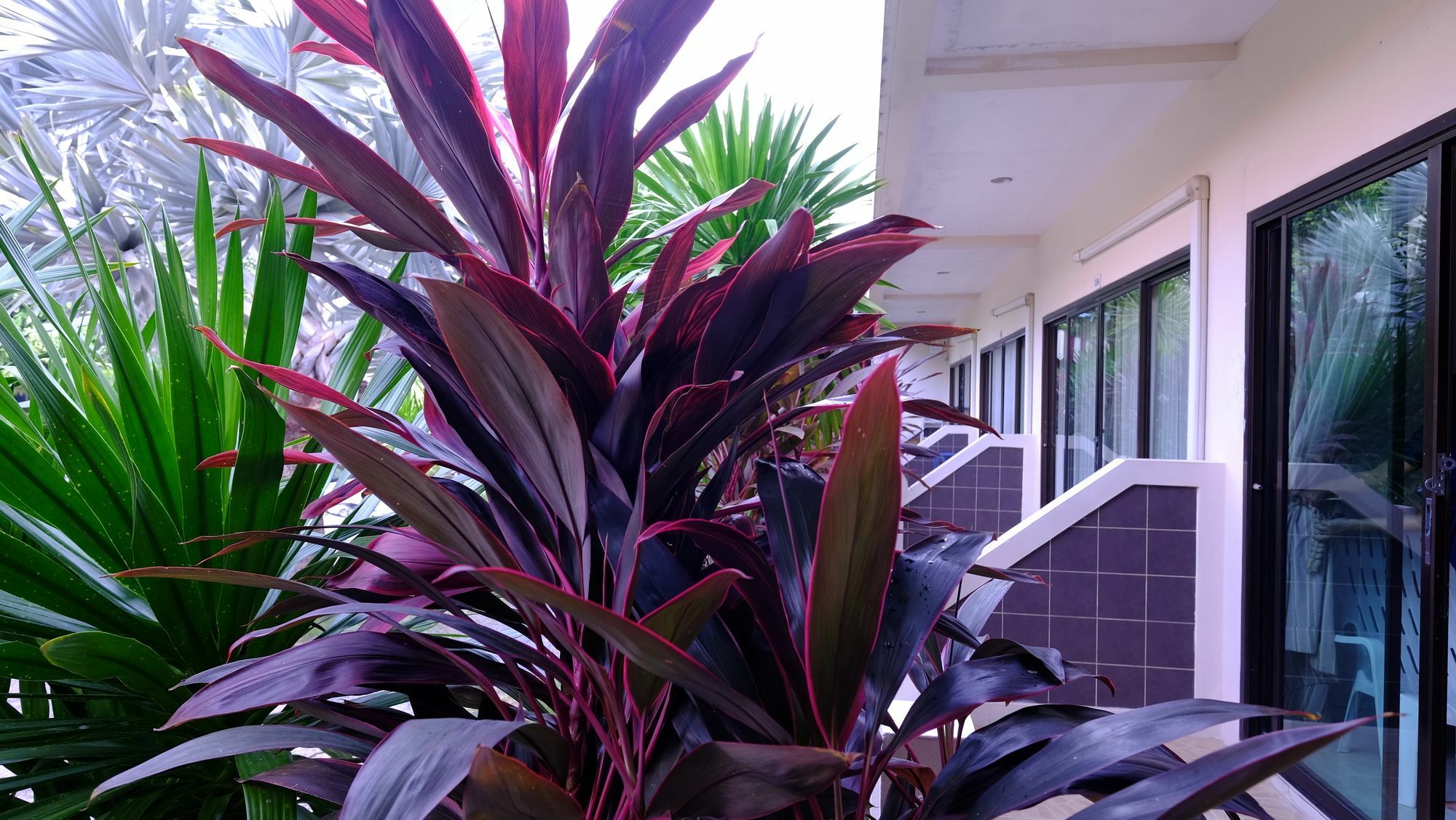 Samui Guest House Lamaj-part Kültér fotó