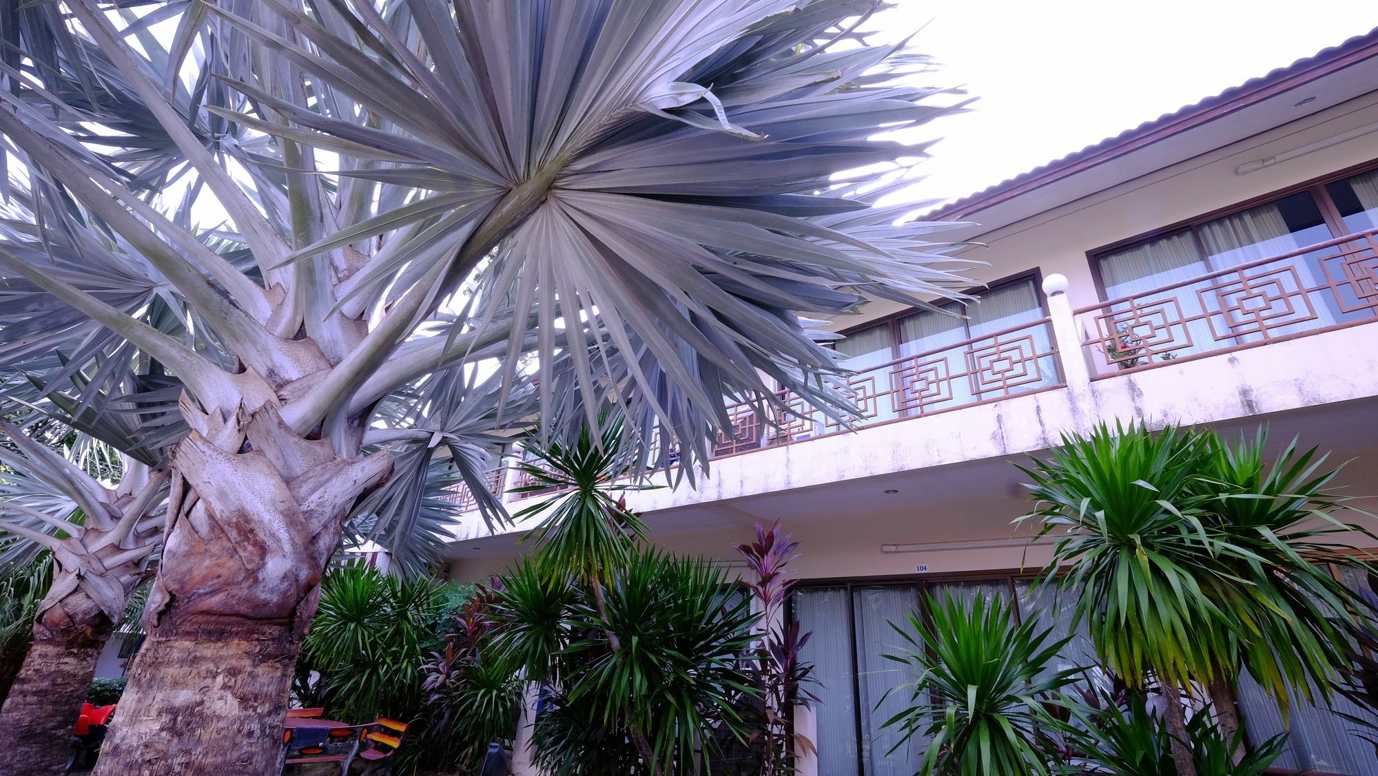 Samui Guest House Lamaj-part Kültér fotó