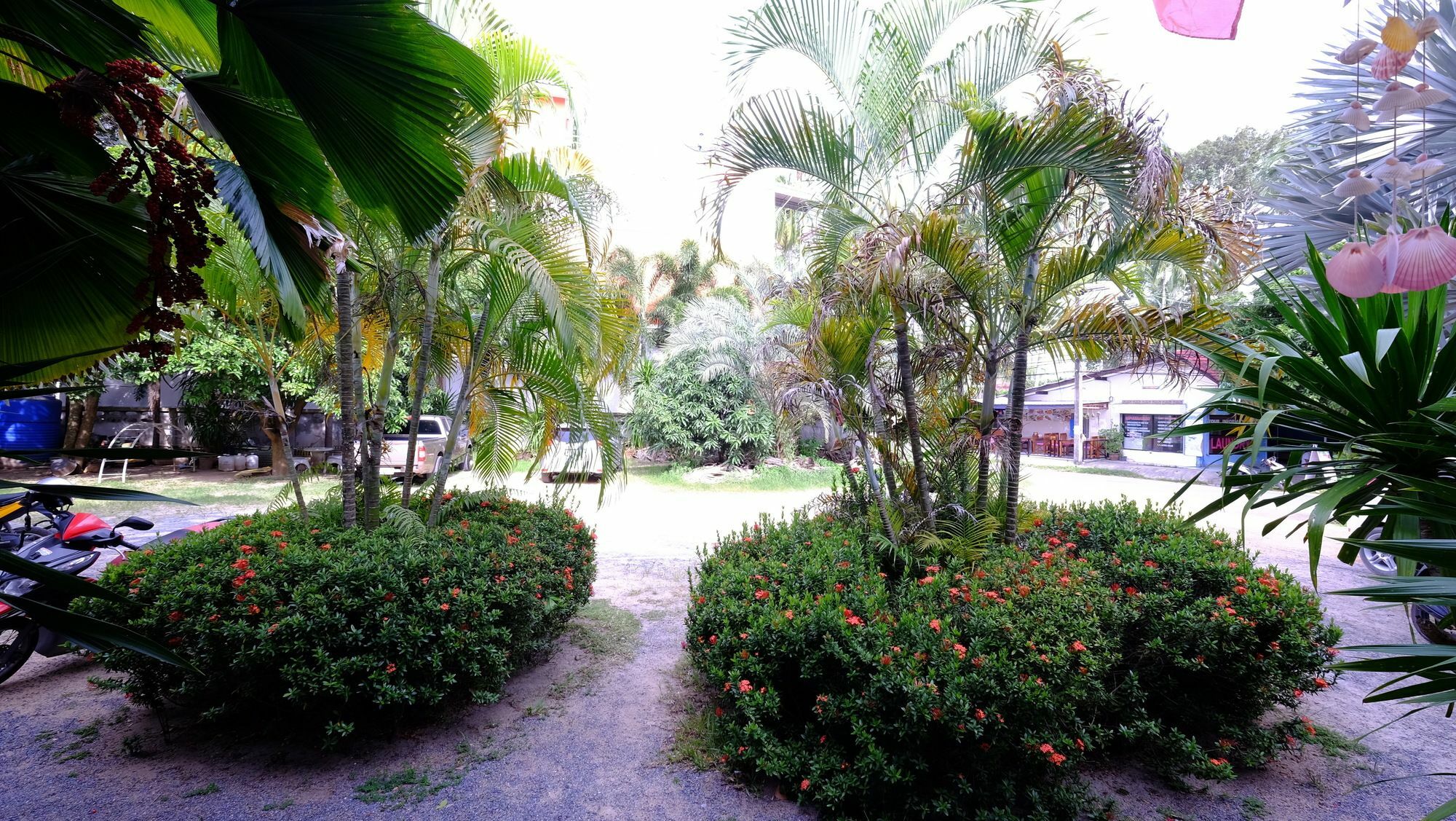 Samui Guest House Lamaj-part Kültér fotó